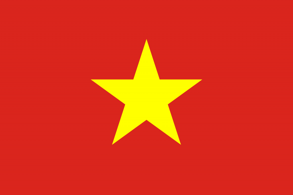Vietnamese translation 2019 IWGDF guidelines