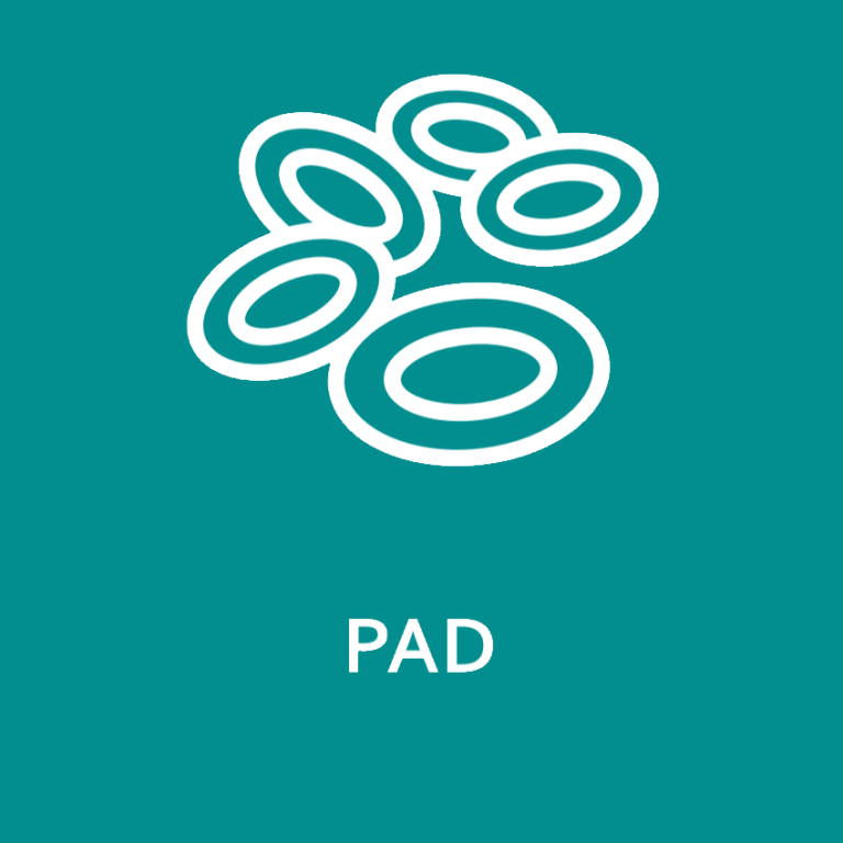 Intersocietal PAD guideline (2023 update) IWGDF Guidelines