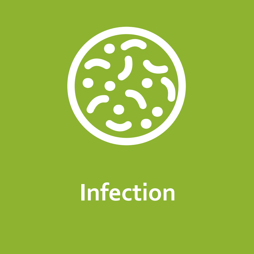IWGDF/IDSA Infection guideline (2023 update)