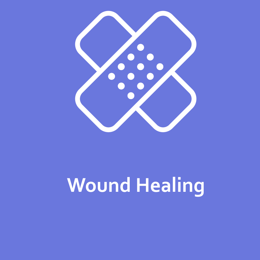 Wound healing interventions guideline (2023 update)